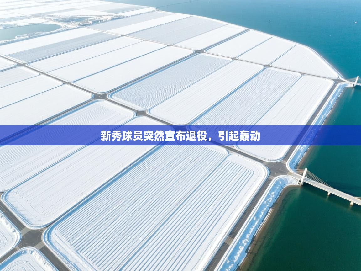 开云登录-新秀球员突然宣布退役，引起轰动  第1张