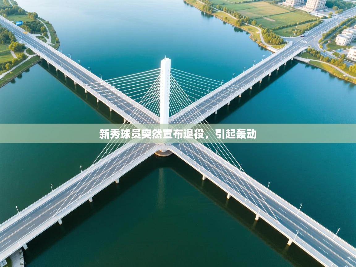 开云登录-新秀球员突然宣布退役，引起轰动  第2张