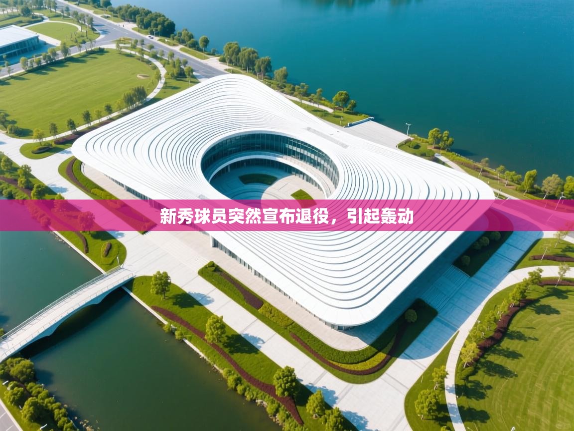 开云登录-新秀球员突然宣布退役，引起轰动  第3张