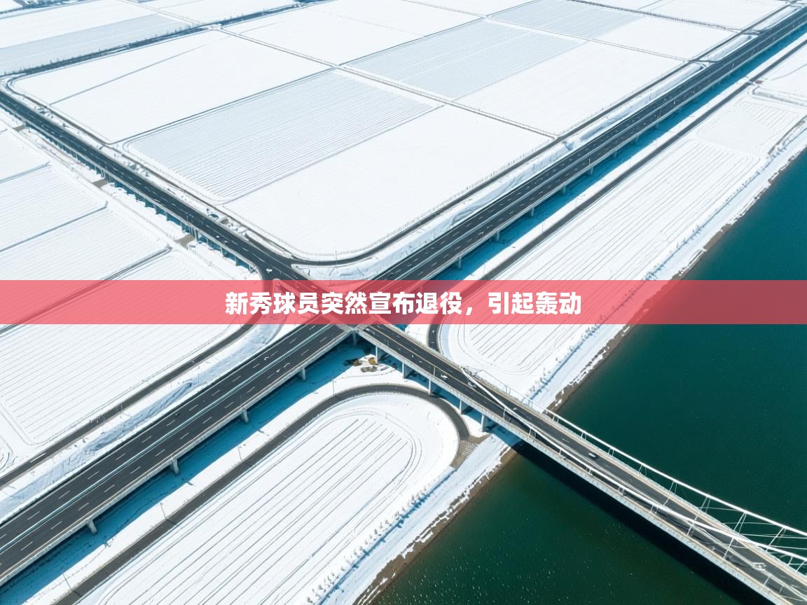 开云登录-新秀球员突然宣布退役，引起轰动  第4张