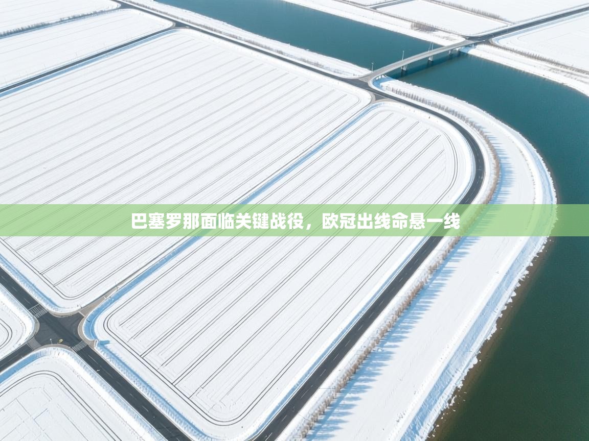 开云体育赛程表查询-巴塞罗那面临关键战役,欧冠出线命悬一线 第4张