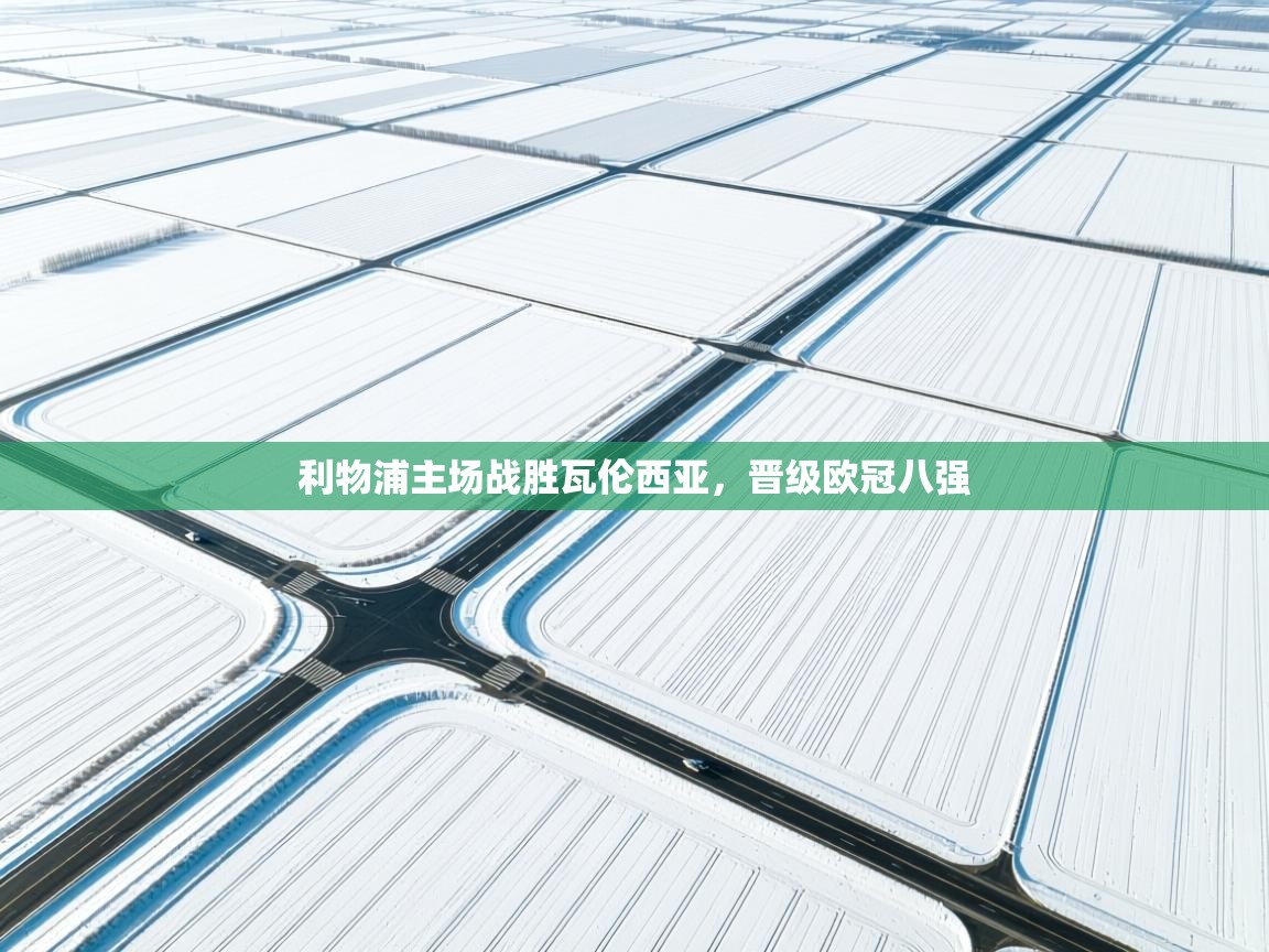 开云体育入口手机版-利物浦主场战胜瓦伦西亚,晋级欧冠八强 第1张