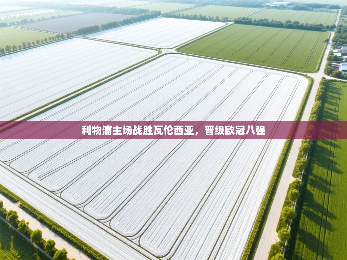 开云体育入口手机版-利物浦主场战胜瓦伦西亚,晋级欧冠八强 第3张