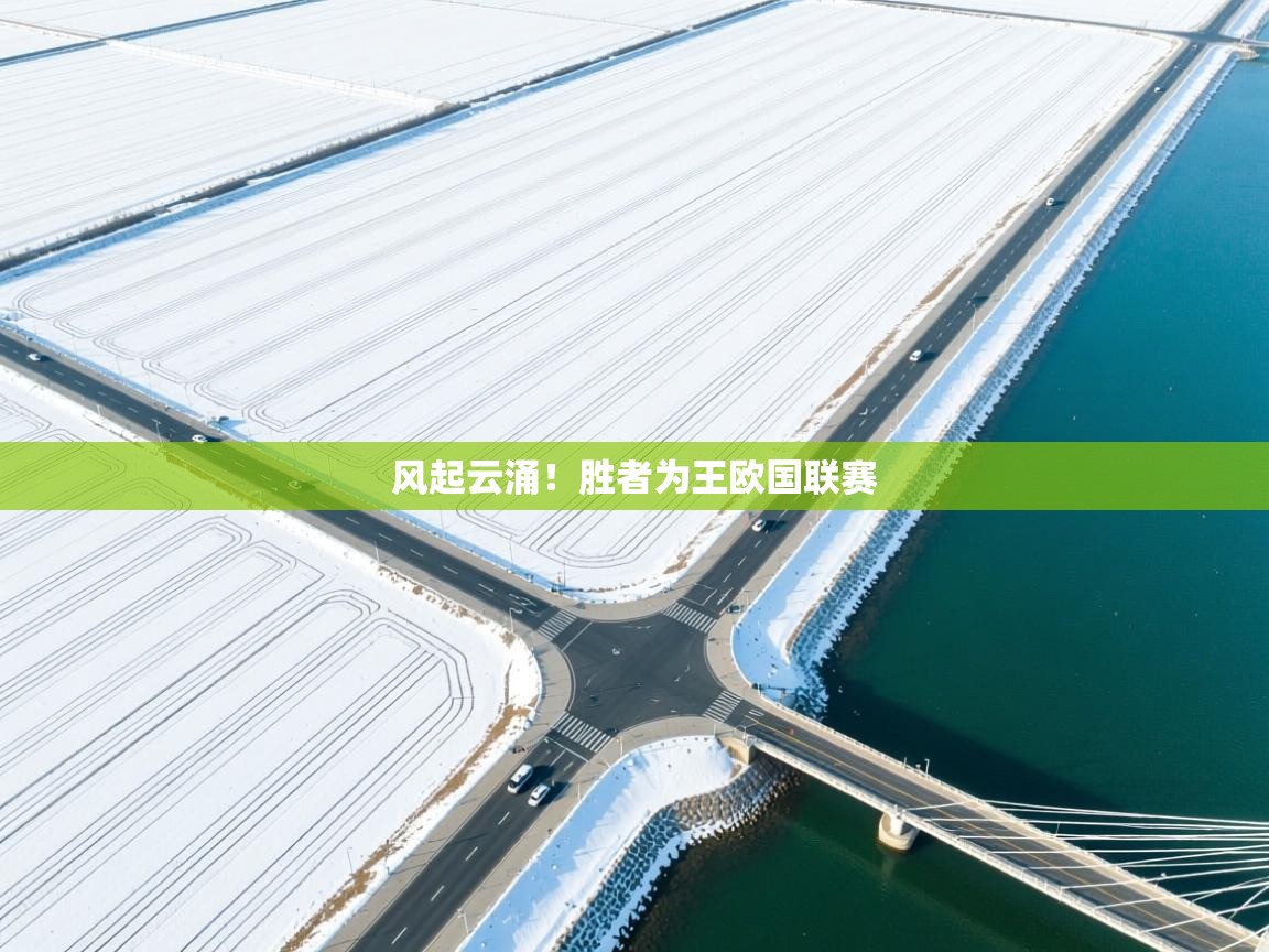 开云体育多语言中文版-风起云涌!胜者为王欧国联赛 第2张